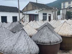 -苏州市吴中区光福窑上花果蜜饯厂