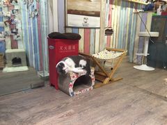 -小时光咖啡馆(开森度假森林店)