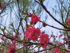 -太阳宫公园