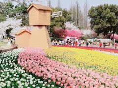 -苏州上方山国家森林公园