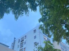 -阿汉名材老鸡汤饭店(金鸡岭店)