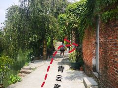 -贞姨芝麻糊