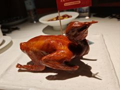 -侨美食家·41年地道粤菜(恒福路店)
