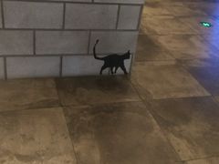 -CGV影城(滨江天街IMAX店)