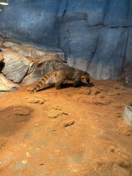 -Zoolung Zoolung动物主题公园(海信广场店)