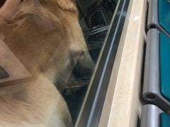-美联众合动物医院·24h转诊中心