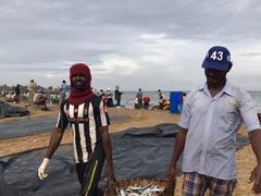 -尼甘布海鲜市场