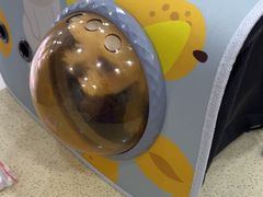 -天宠宠物医院24小时·急重症诊疗中心·全科·腔镜特色(和平分院)