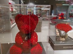 -ROSEONLY诺誓(国际广场购物中心店)