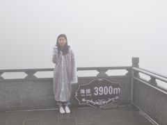 -苍山感通索道