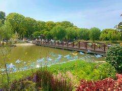 -上海鲜花港
