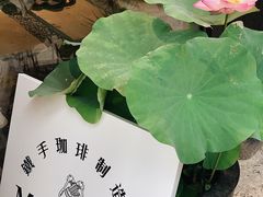 -Metal hands·铁手咖啡