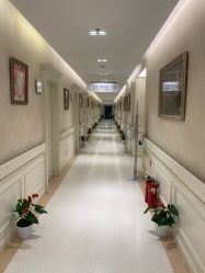 -圣嘉新医疗美容医院