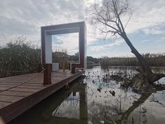 -同里国家湿地公园
