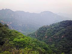 景点-大岭沟猕猴桃谷风景区