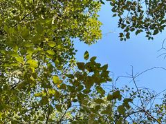 -白鹭湾湿地公园