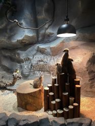 -Zoolung Zoolung动物主题公园(海信广场店)