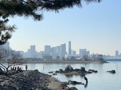 -台场海滨公园船码头