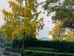 -成都百丽宫影城(LUXE太古里店)