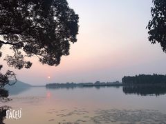 -东湖落雁景区