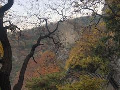 -北京鹫峰国家森林公园