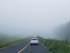 -塞罕坝国家级自然保护区