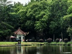 -谷咖啡·鲜花绿植花园餐厅
