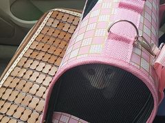 -派联宠物医院·24h·CT·异宠