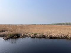 -野鸭湖国家湿地公园