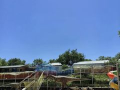 -北京鹿世界主题园