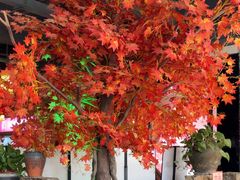 -廉厨干煸鸡·地标名菜(民富园店)