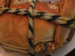 大闸蟹-开元新晶都酒店·自助火锅