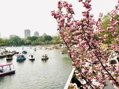 -朝阳公园
