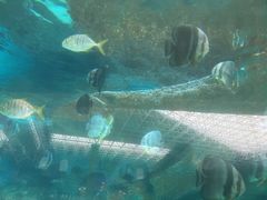 -波塞冬旅游度假区