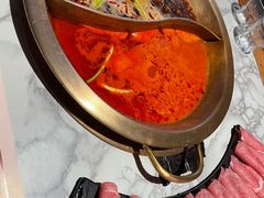 -杨家火锅(国美店)