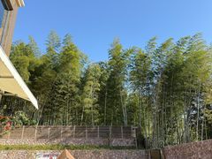 -冶父山国家森林公园