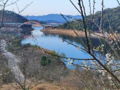 -广州市流溪河国家森林公园