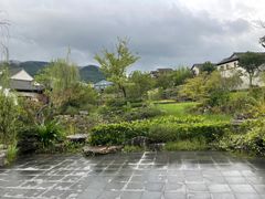 -春色如许·茶食餐厅(桃李春风店)