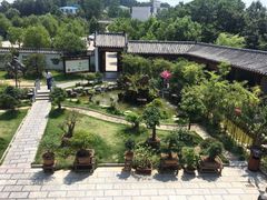 -绿色菜园·农家土菜(贤山店)