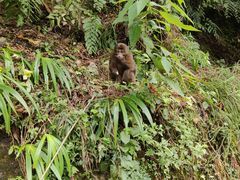 -西岭雪山大飞水景区