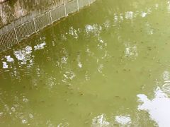 -人民公园(罗湖区)