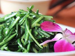 -香巴拉云南餐厅(华莱坞店)