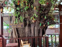 -卷心菜和避孕套餐厅(Pattaya)