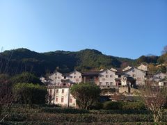 -雁南飞茶田景区