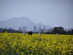 -三垟湿地