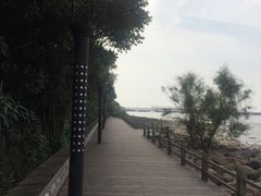 -吴淞炮台湾湿地森林公园烧烤区
