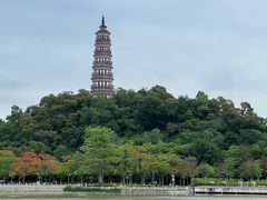 -顺峰山公园