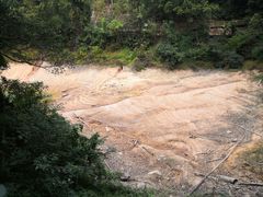 -广州市流溪河国家森林公园