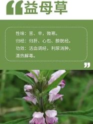 -姜美堂·蒸姜除湿の纤体美颜馆