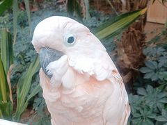 -南宫五洲植物乐园